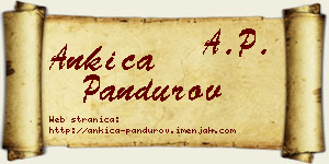 Ankica Pandurov vizit kartica
